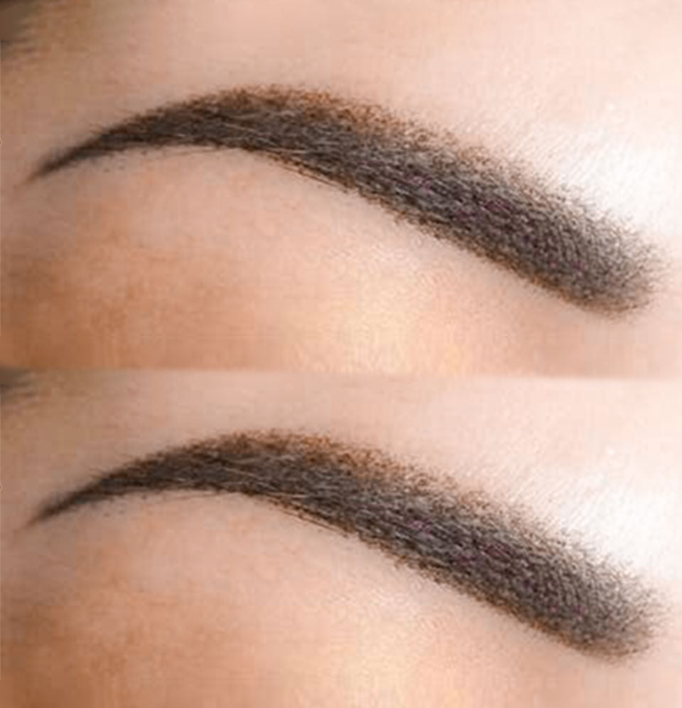 Servicio de Ceja Polvo